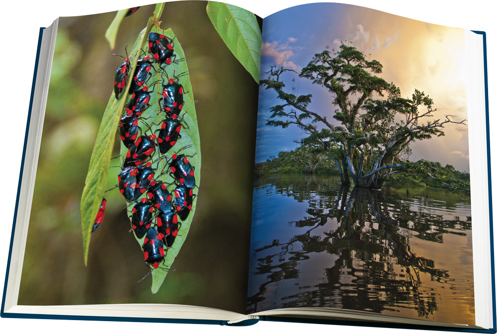 Suedamerika DS03 Web